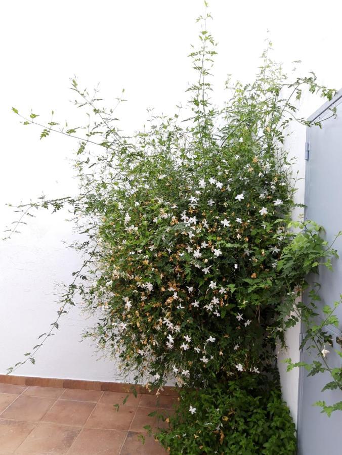 Casa Rural El Arriero 扎哈拉 外观 照片